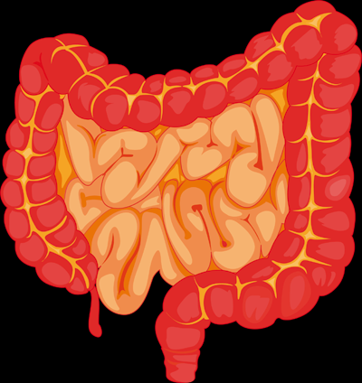 Biofilm